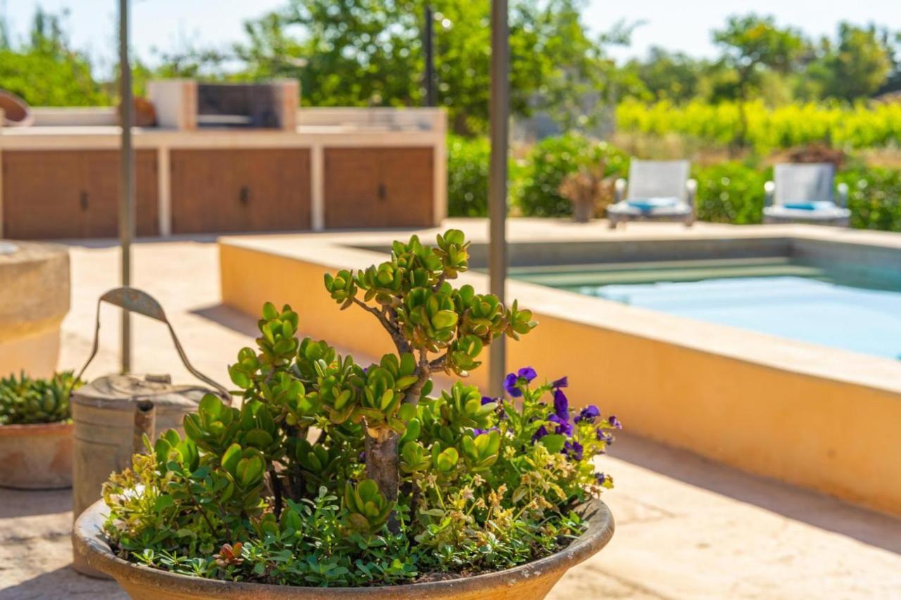 Finca Campestre Es Verger Blue Binissalem Exteriör bild